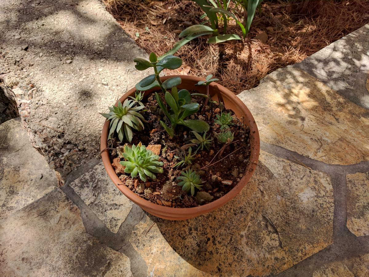 Apartmani Anja Sveta Nedelja (Hvar) Exterior foto